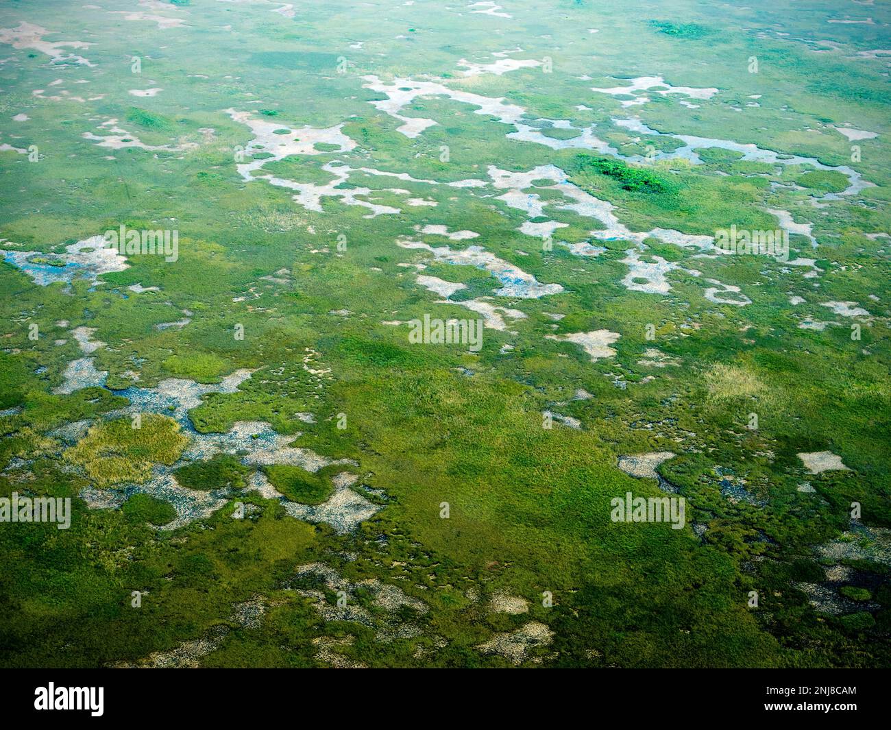 Everglades-Nationalpark, Draufsicht, Hubschrauber, Miami, Florida, USA Stockfoto