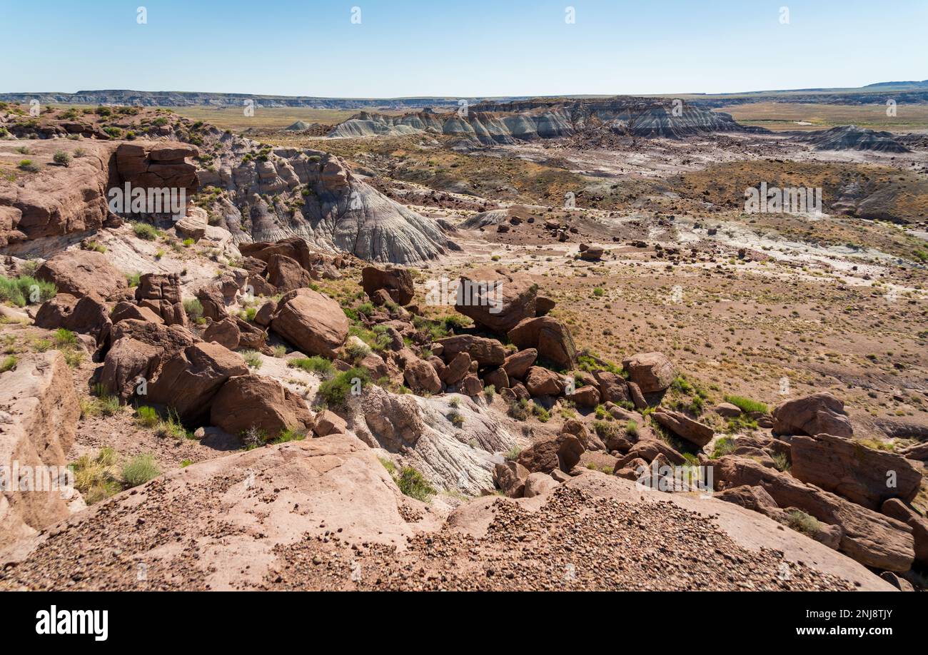 Versteinerter Wald-Nationalpark, Arizona Stockfoto