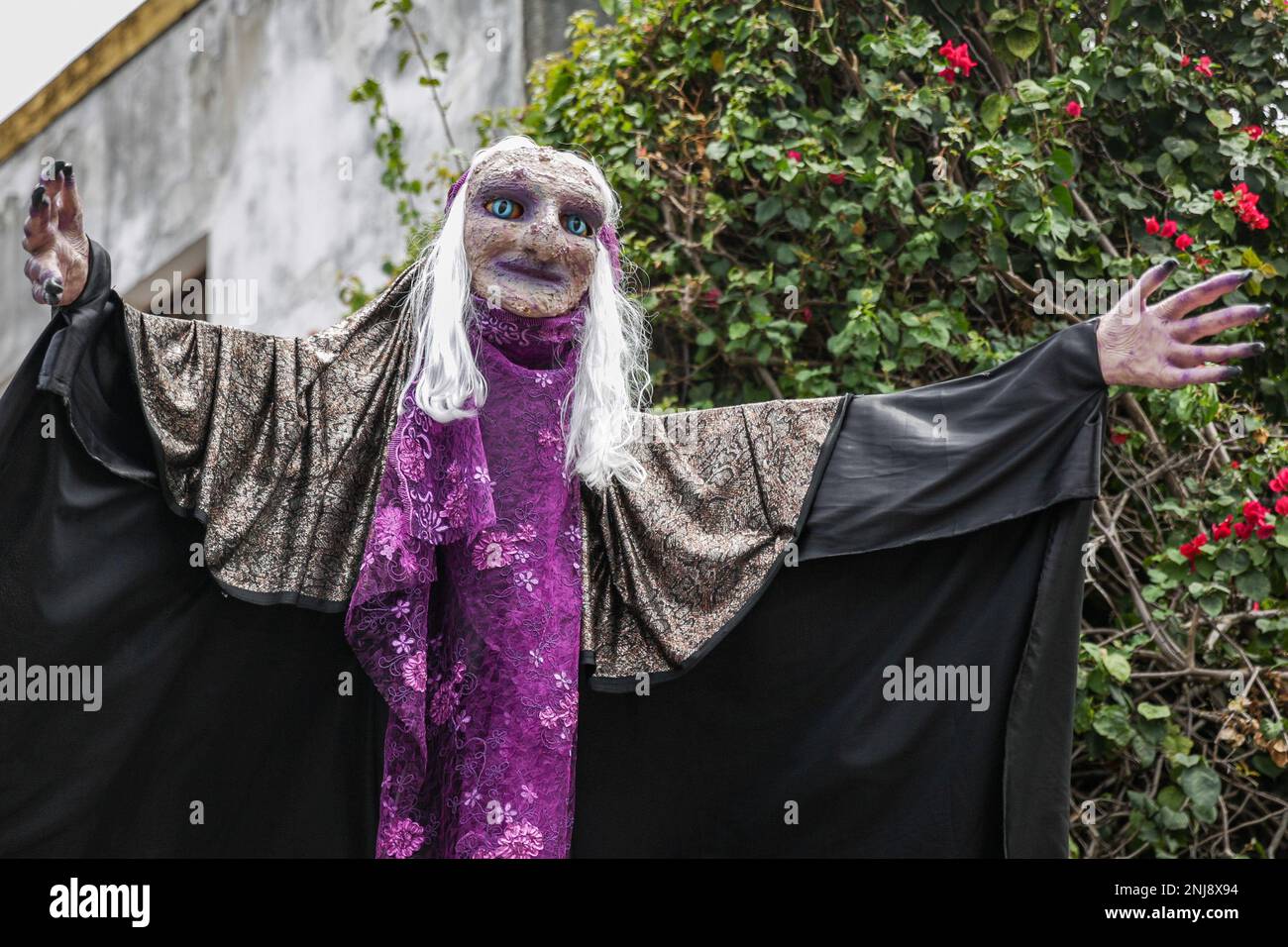 Olinda, Brasilien. 22. Februar 2023. PE - Olinda - 02/22/2023 - CARNIVAL OLINDA 2023 - traditioneller Block, Bacalhau do Batata, geht diesen Mittwoch zur Parade in Olinda (22). Die Feier spielen während der Passage des Blocks. Foto: Rafael Vieira/AGIF/Sipa USA Kredit: SIPA USA/Alamy Live News Stockfoto