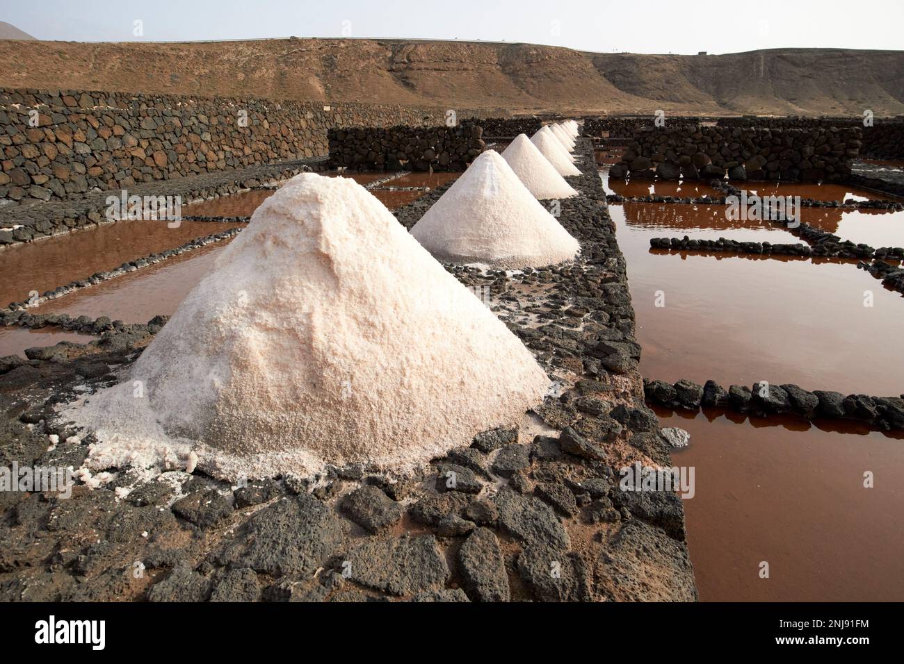 Salzpfähle in den salinas de janubio Salzebenen Lanzarote, Kanarische Inseln, Spanien Stockfoto