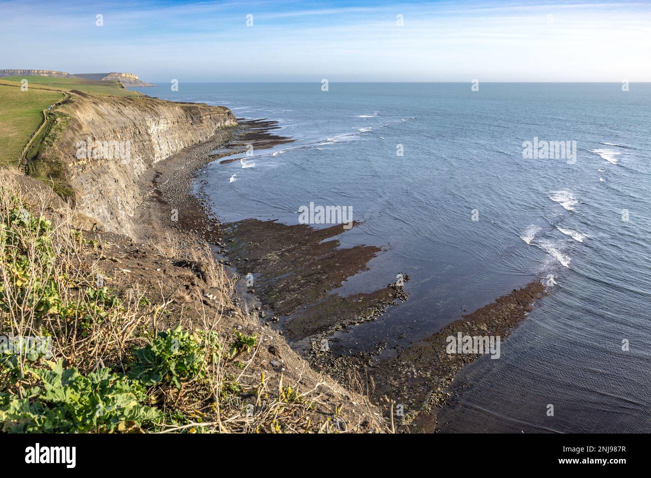 Clavell's Hard, Kimmeridge Vorsprünge östlich von Kimmeridge Bay, Kimmeridge, Purbeck Marine Wildlife Reserve, Isle of Purbeck, Jurassic Coast, Dorset, Großbritannien Stockfoto