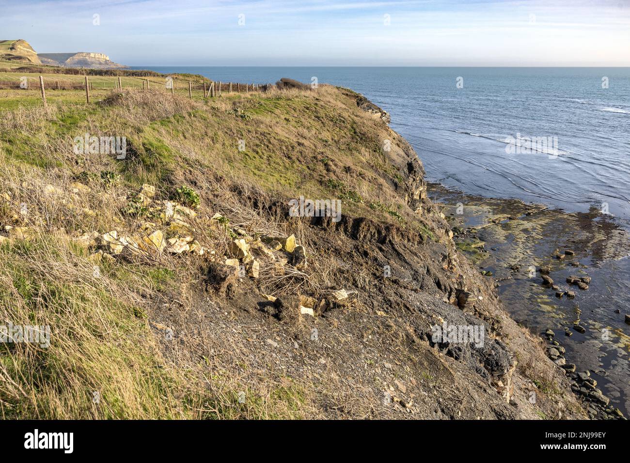 Clavell's Hard, Kimmeridge Vorsprünge östlich von Kimmeridge Bay, Kimmeridge, Purbeck Marine Wildlife Reserve, Isle of Purbeck, Jurassic Coast, Dorset, Großbritannien Stockfoto