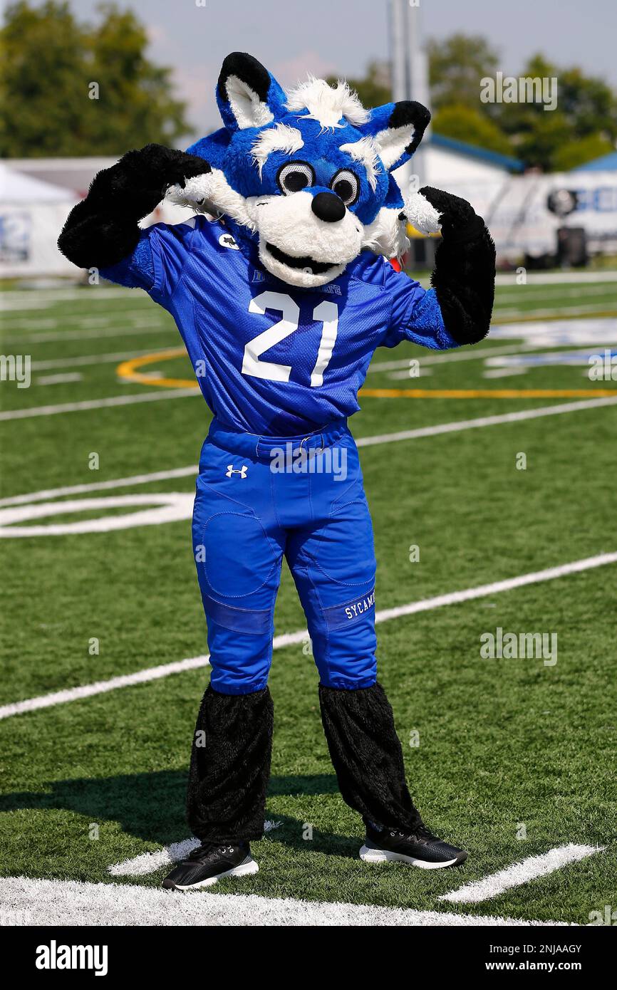 TERRE HAUTE, IN - SEPTEMBER 17: Indiana State Mascot Sycamore Sam pumps up the crowd during a college football game between the Montana Grizzlies and the Indiana State Sycamores on September 17, 2022 at Memorial Stadium in Terre Haute, Indiana. (Photo by Jeffrey Brown/Icon Sportswire) (Icon Sportswire via AP Images) Stockfoto
