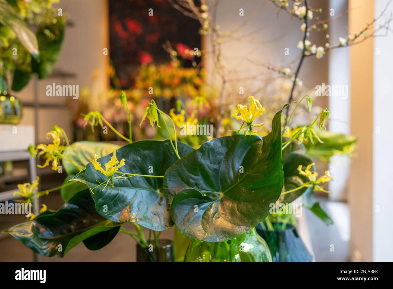 Dekorative Glasvasen mit Blumen. Green Philodendron Burle-marxii und Gloriosa superba im Vordergrund. Stockfoto