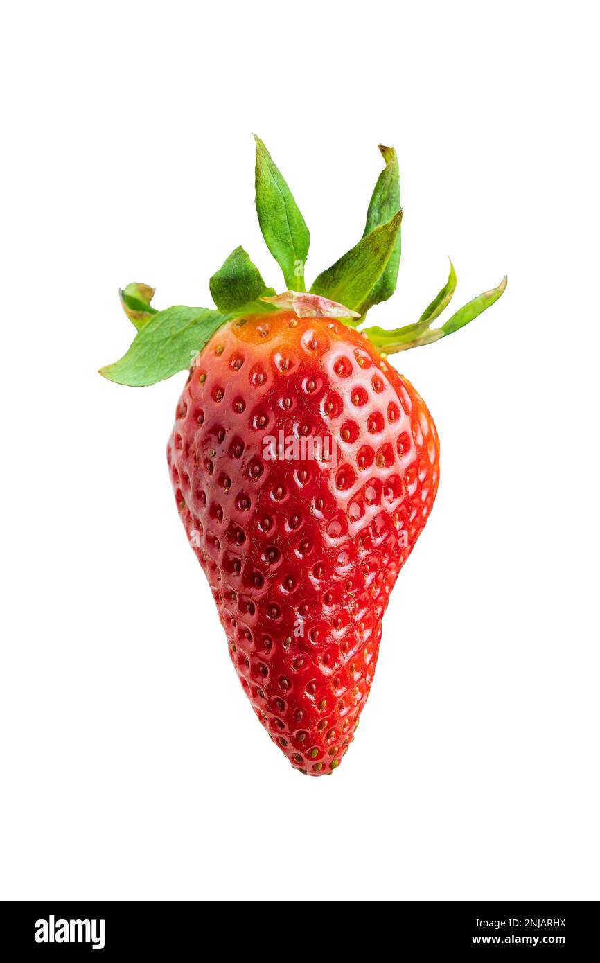 Eine einzelne Erdbeere, isoliert auf weißem Hintergrund Stockfoto
