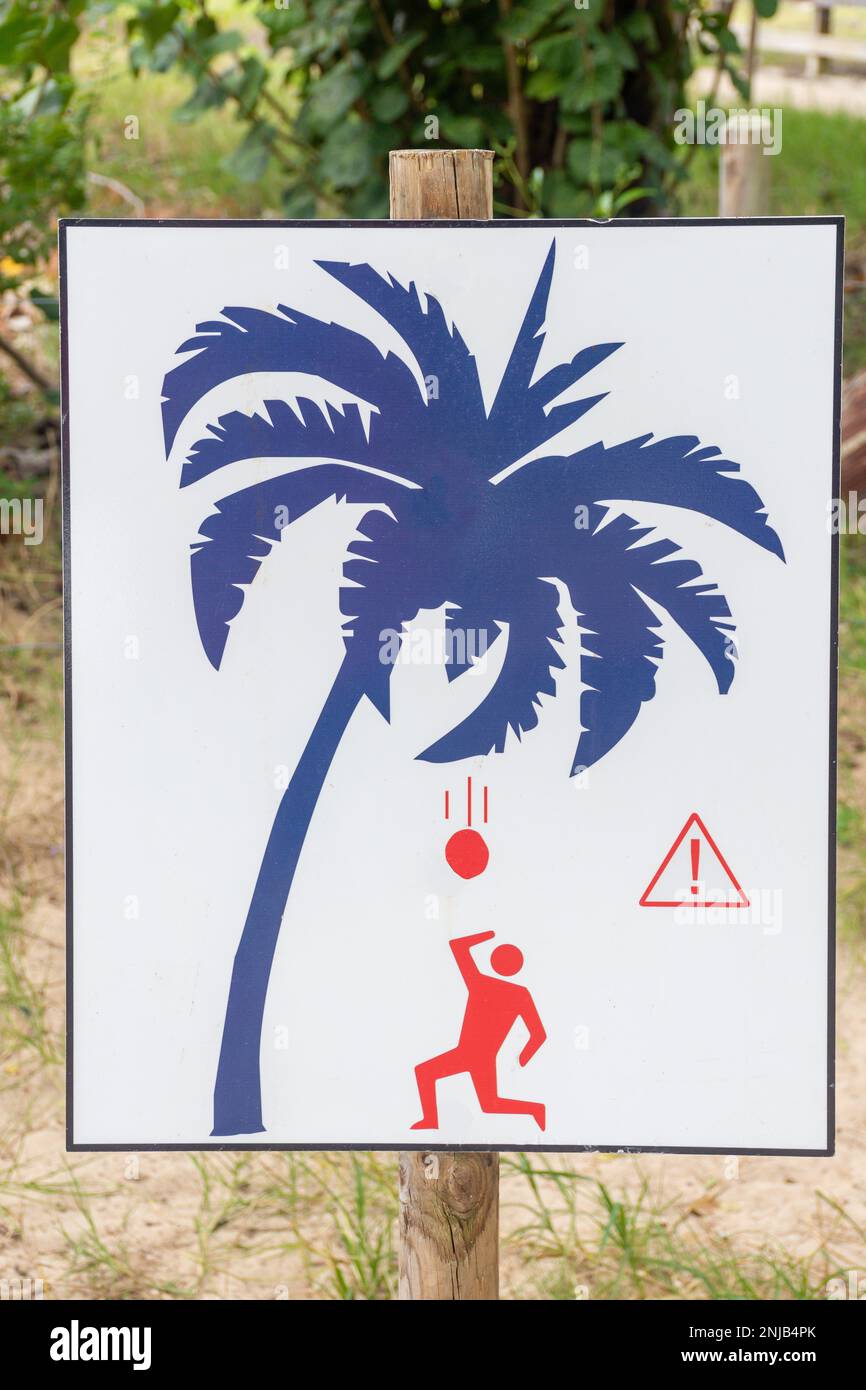 Zeichen zur Warnung vor der Gefahr herabfallender Kokosnüsse, Plage Municipale de Sainte-Anne, Sainte-Anne, Le Marin, Martinique, kleine Antillen, Karibik Stockfoto