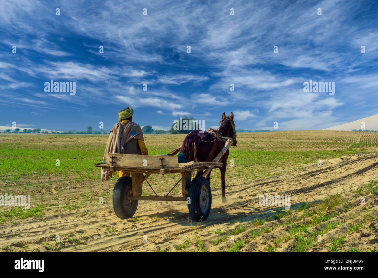 Bauer mit seinem Maultierwagen in der Wüste Stockfoto