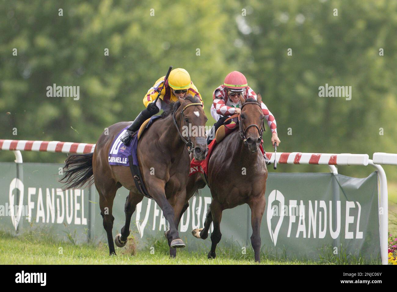 September 10, 2022, Franklin, KY, USA: September 10, 2022: Campanelle #10 ridden by Irad Ortiz Jr. wins the Ladies Sprint Stakes (Grade 3) at Kentucky Downs in Franklin, Kentucky on September 10th, 2022. .Wendy Wooley for Eclipse Sportswire (Credit Image: © Wendy Wooley/CSM via ZUMA Press Wire) (Cal Sport Media via AP Images) Stockfoto