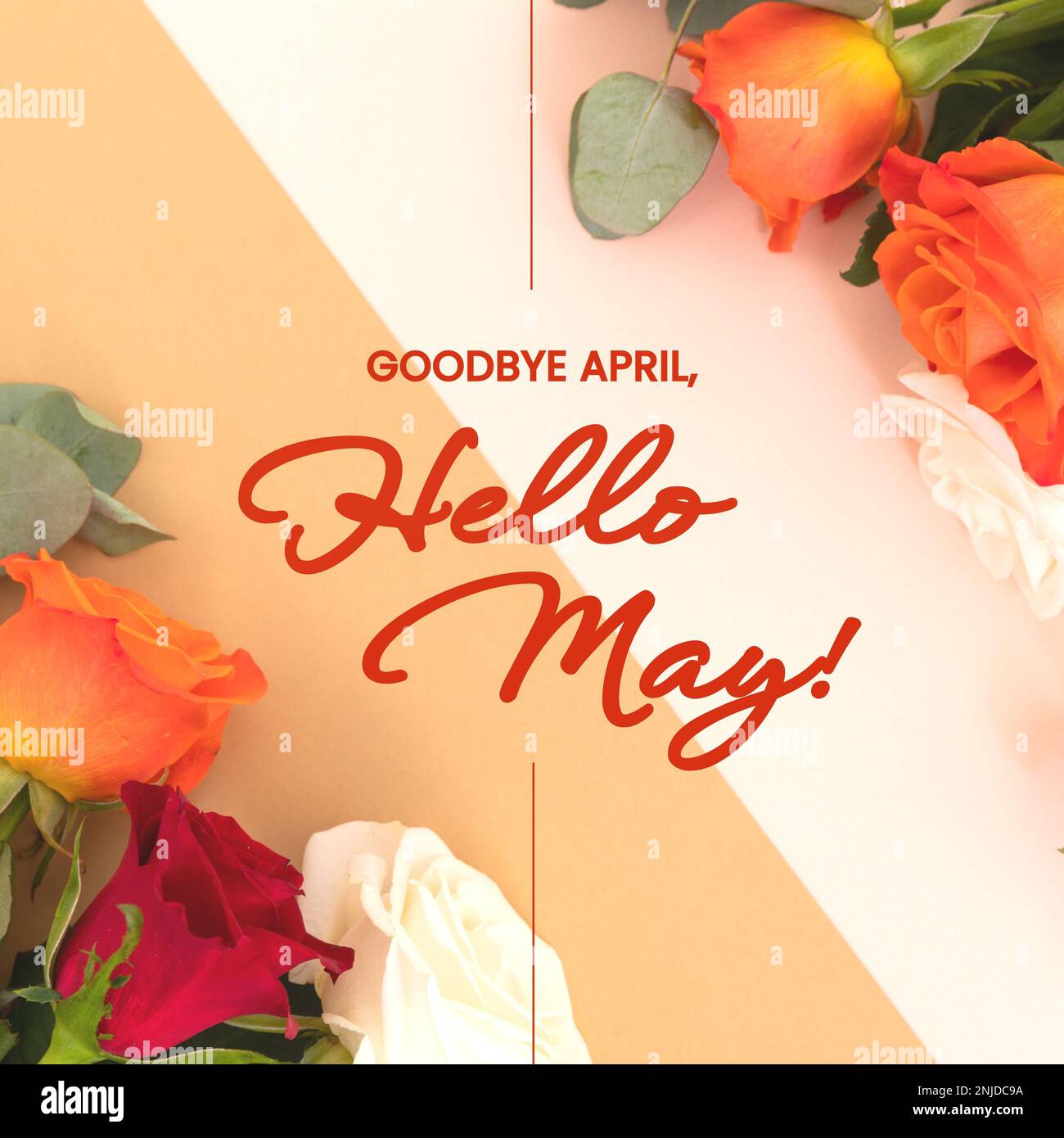 Zusammensetzung von Abschied april Hallo Mai Text über bunten Rosen Stockfoto