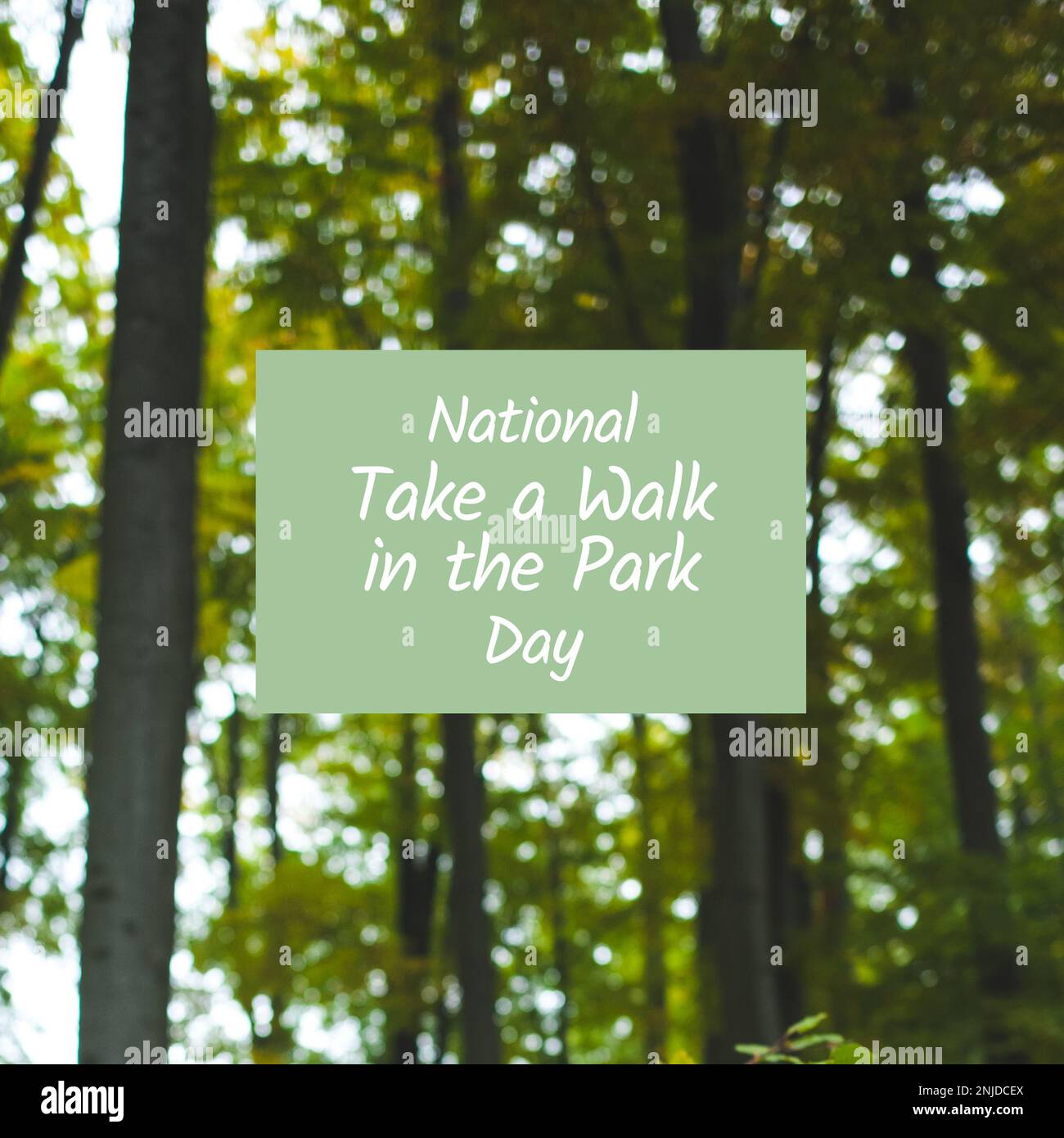 Composite aus National Take a Walk in the Park Day Text in Rechteck über verschwommenen Bäumen im Wald Stockfoto
