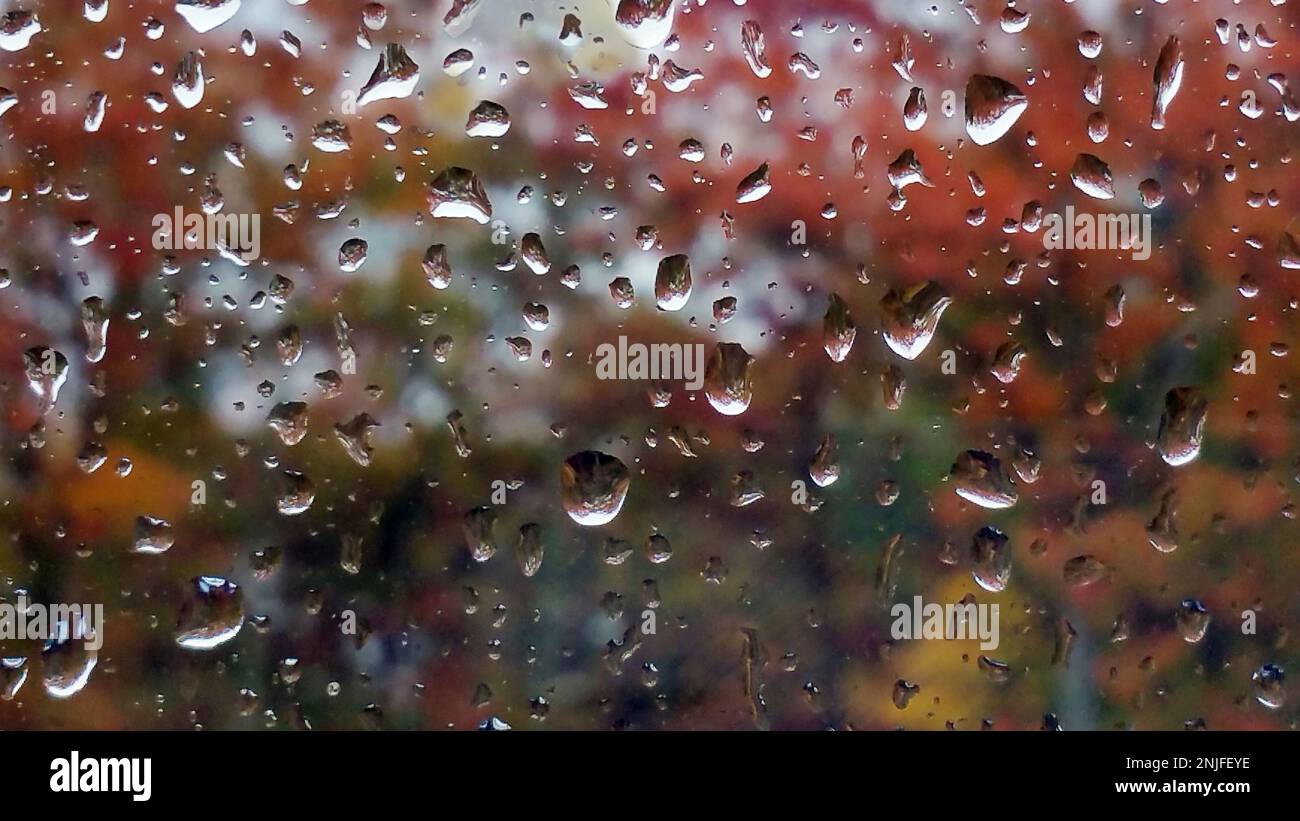 Regentropfen an einem Fenster mit abstrakten bunten Blättern im Hintergrund Stockfoto