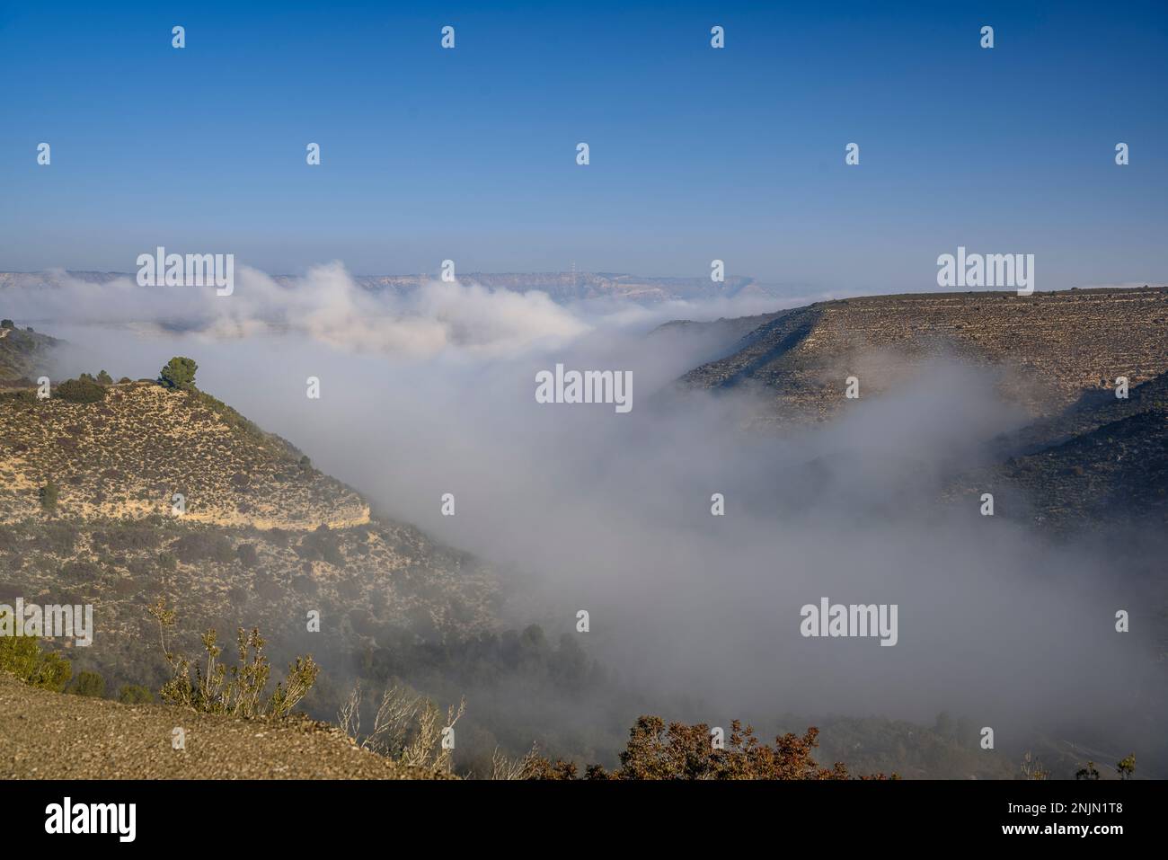 Nebel im Mequinenza-Tal an einem Wintermorgen (Bajo Cinca, Zaragoza, Aragon, Spanien) ESP: Valle de Mequinenza cubierta por la niebla en invierno Stockfoto