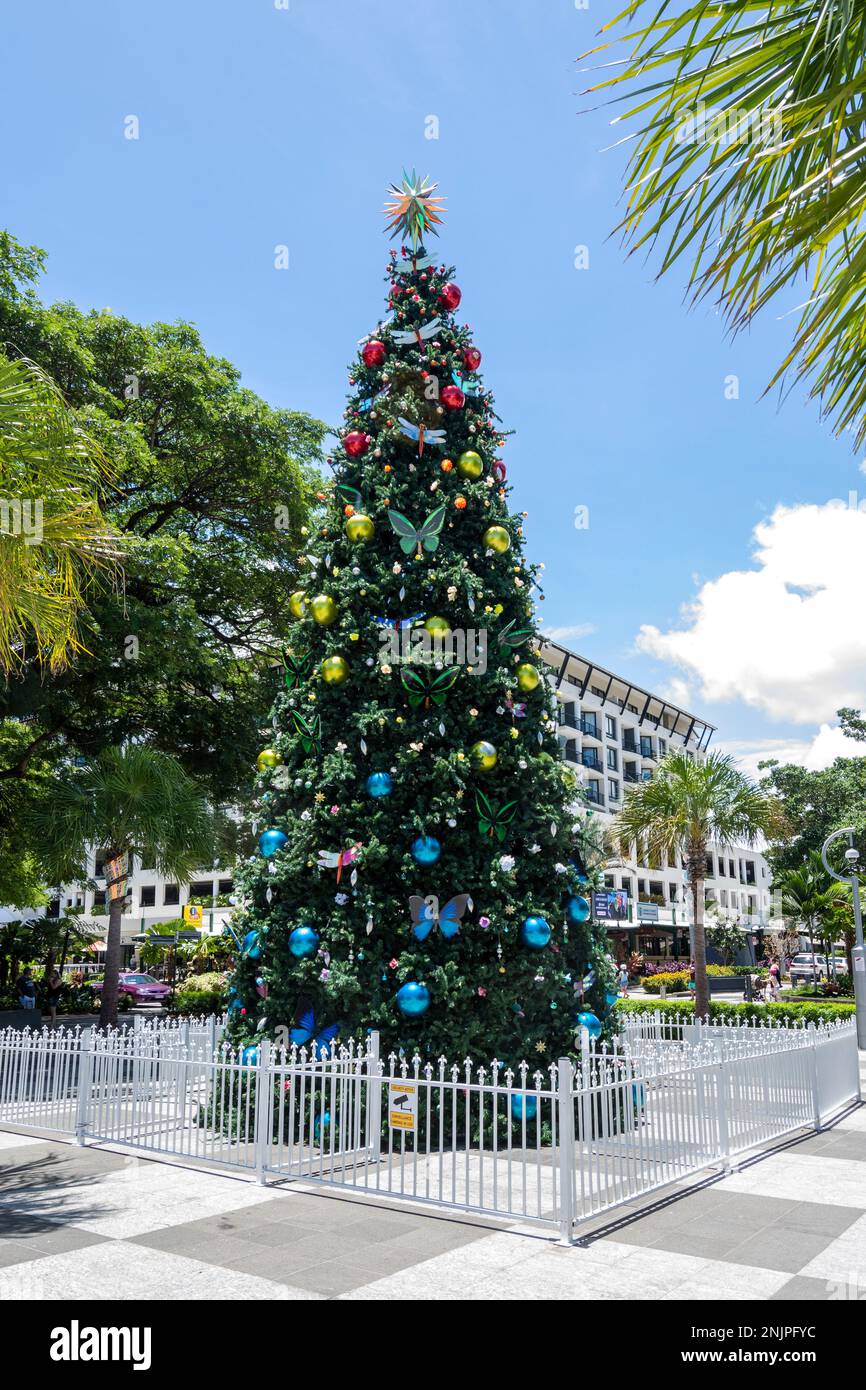 Christmas Tree auf der Cairns Esplanade an einem heißen, sonnigen Tag, Cairns, Far North Queensland, FNQ, QLD, Australien Stockfoto