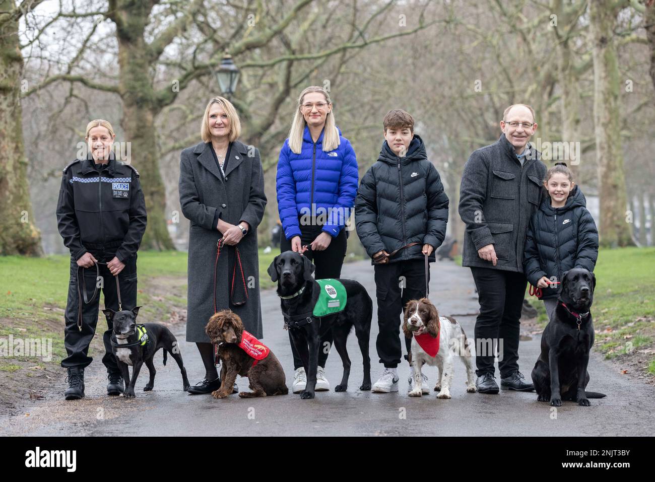 FOTO: JEFF GILBERT, 22. Februar 2023 FÜNF LEBENSVERÄNDERNDE HUNDE ENTHÜLLT ALS FINALISTEN IM CRUFTS CANINE HERO AWARD (von links nach rechts) AUSSERGEWÖHNLICHES LEBEN Eines ARBEITENDEN HUNDES - pensionierter Polizeihund Stella, und ihr Besitzer PC Clair Todd, RETTUNGSHUND HELD - Medical Detection Dog Asher und seine Besitzerin Claire, HELDENHALTSHUND - Hunde für guten Assistenzhund Albert und sein Besitzer Jemima, KINDERCHAMPION - Springer Spaniel, Bernie und sein Spendensammler Ashley, BESTE FREUNDE - Haustier Beauty der Familie ein Labrador Retriever, mit Lily (11 Jahre alt) und Vater Wayne. Stockfoto