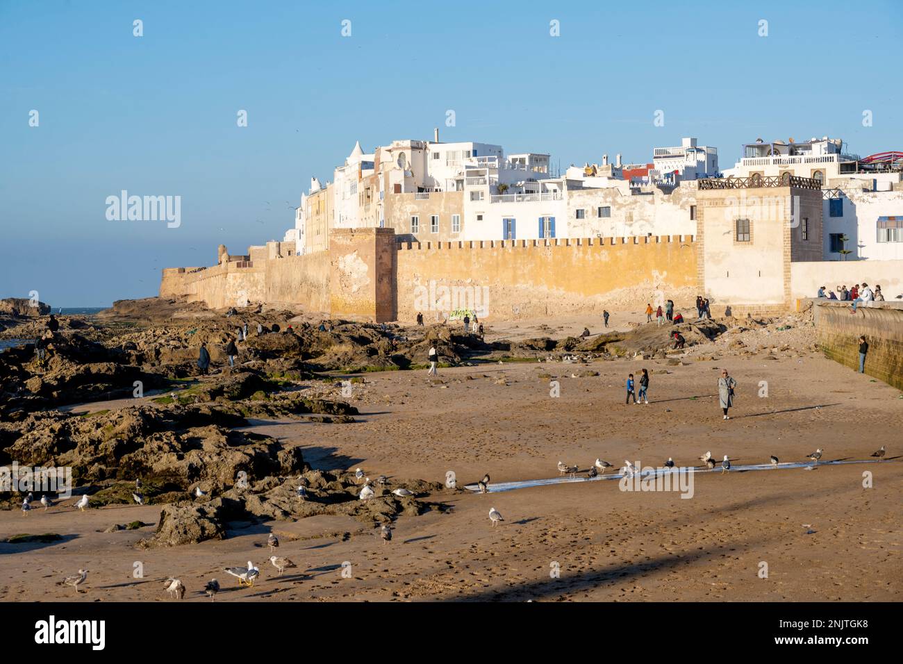 Afrika, Marokko, Essaouira, Festungsmauer und Stadthäuser Stockfoto
