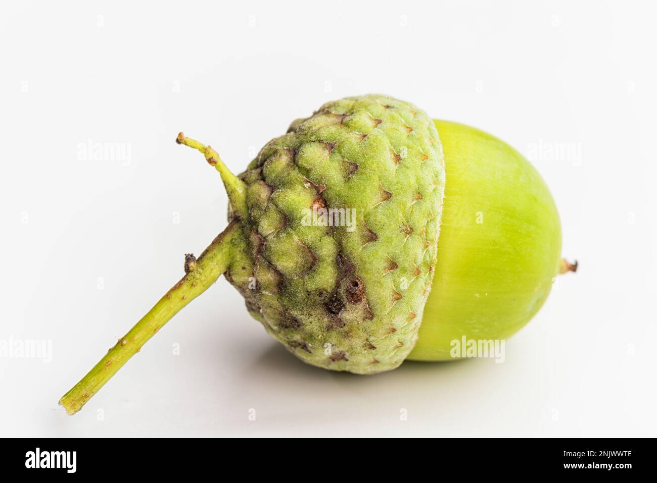 Rohe Amais Auf Weißem Hintergrund. Makro. Stockfoto