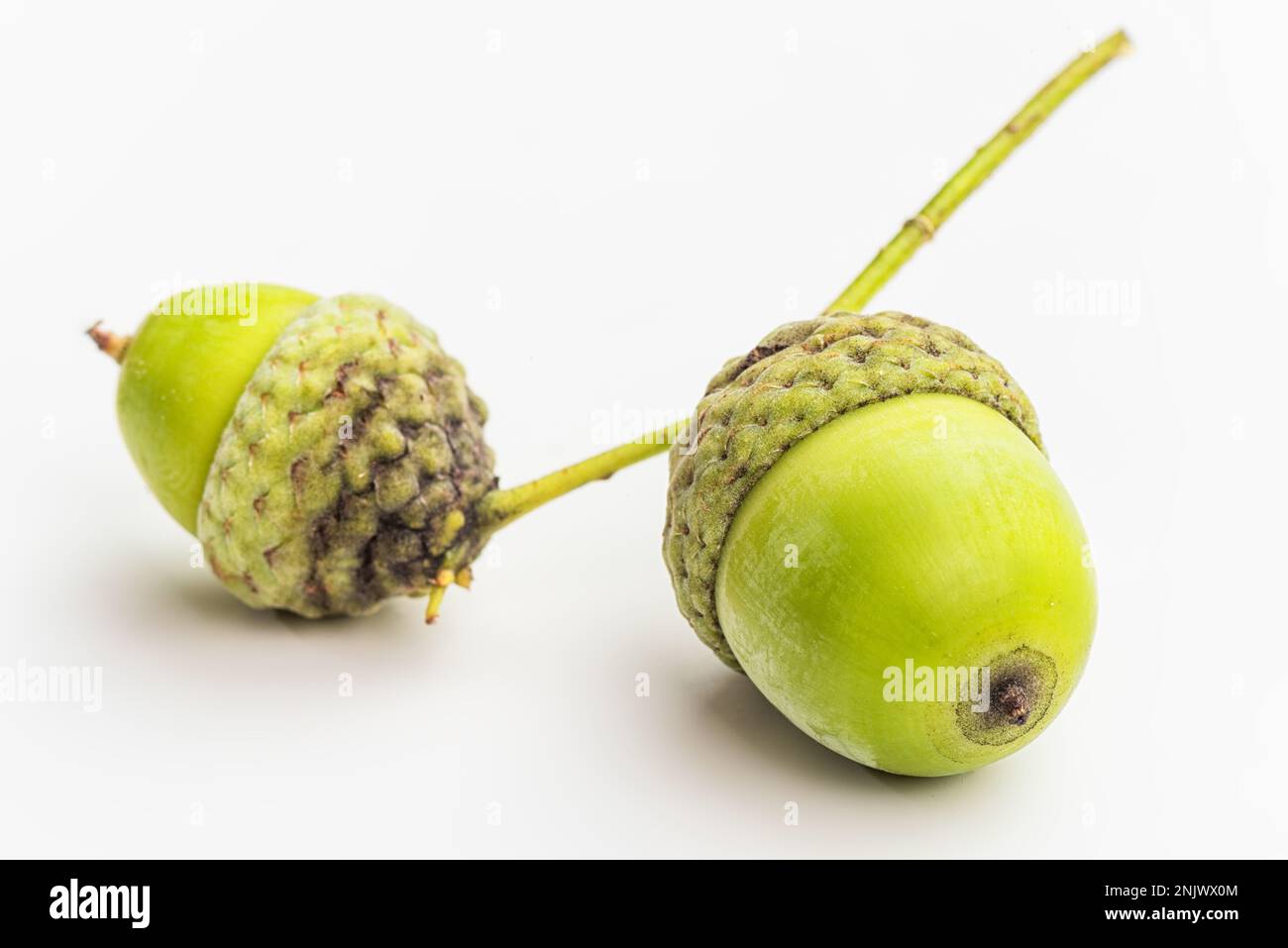 Rohe Amais Auf Weißem Hintergrund. Makro. Stockfoto