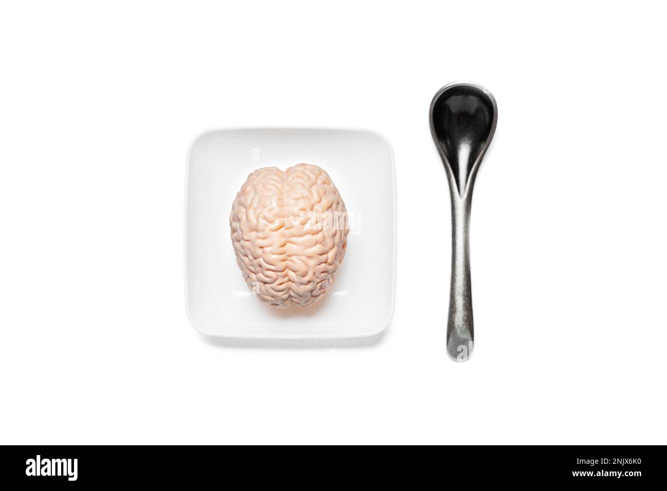 Anatomische Miniaturkopie eines menschlichen Gehirns auf einer winzigen weißen Platte und kleinem silberfarbenen Löffel isoliert auf weißem Hintergrund. Hirngesundes Nahrungskonzept Stockfoto