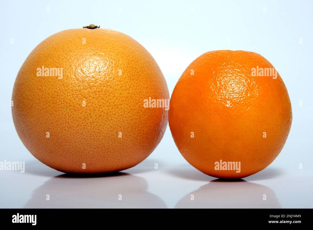 Grapefruit (Citrus paradisi), Grapefruit mit Orange (rechts), Ausschnitt Stockfoto