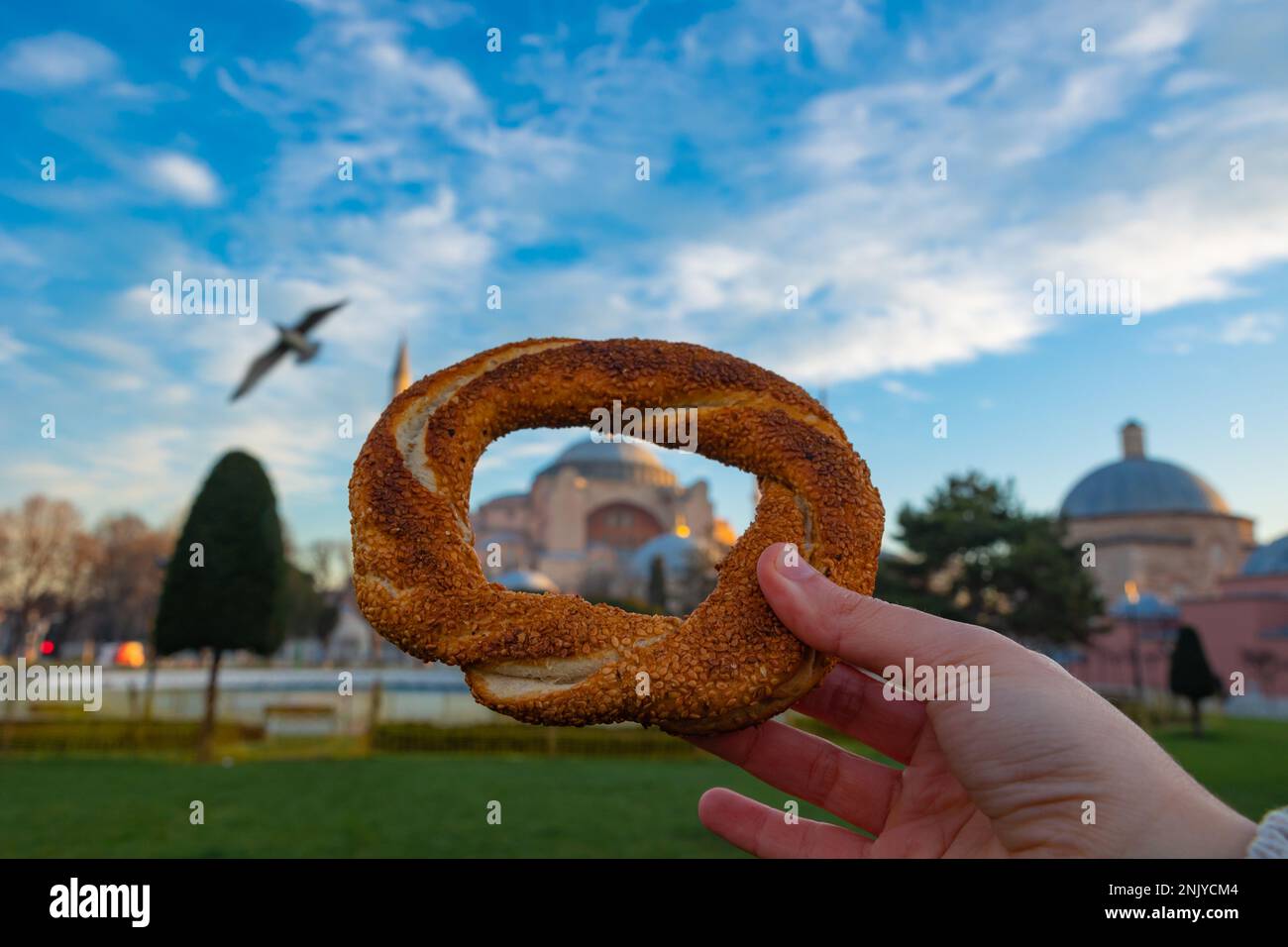 Türkisches Bagel oder Simit im Fokus mit Hagia Sophia im Hintergrund. Konzeptfoto: Reise nach Istanbul. Wahrzeichen von Istanbul. Türkisches Straßenessen. Stockfoto