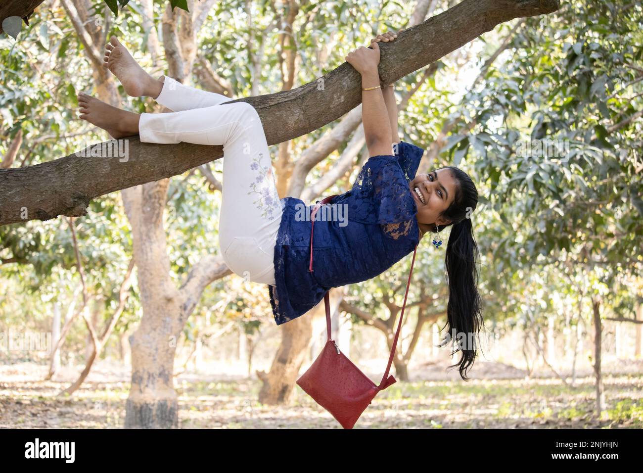 Eine junge indische Erwachsene Frau, die spielerisch im Garten auf einen Baum klettert Stockfoto