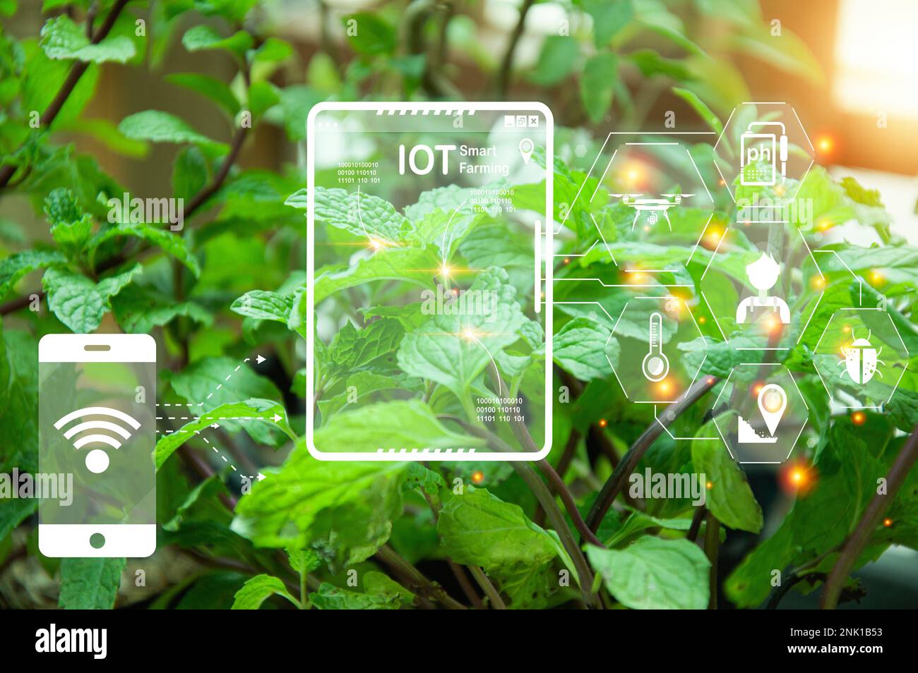 Das Konzept der neuen Landwirtschaft oder der intelligenten Landwirtschaft, der Landwirtschaftstechnologie Stockfoto