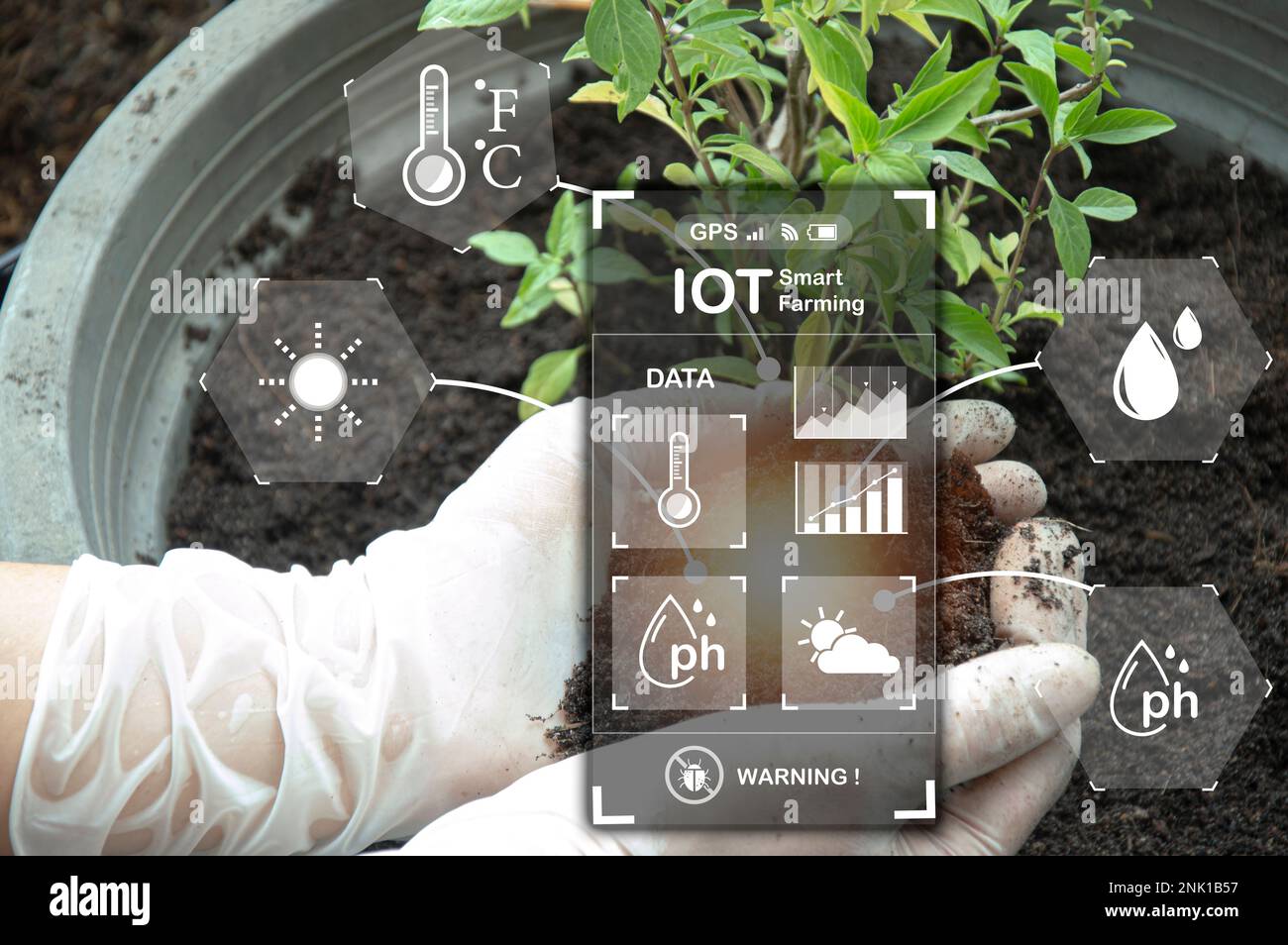 Das Konzept der neuen Landwirtschaft oder der intelligenten Landwirtschaft, der Landwirtschaftstechnologie Stockfoto