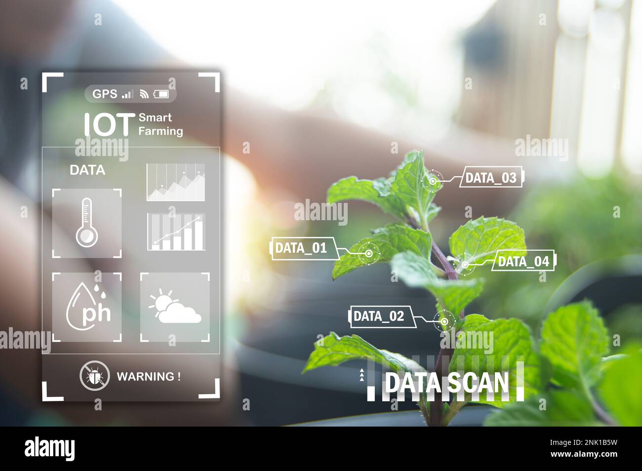 Das Konzept der neuen Landwirtschaft oder der intelligenten Landwirtschaft, der Landwirtschaftstechnologie Stockfoto