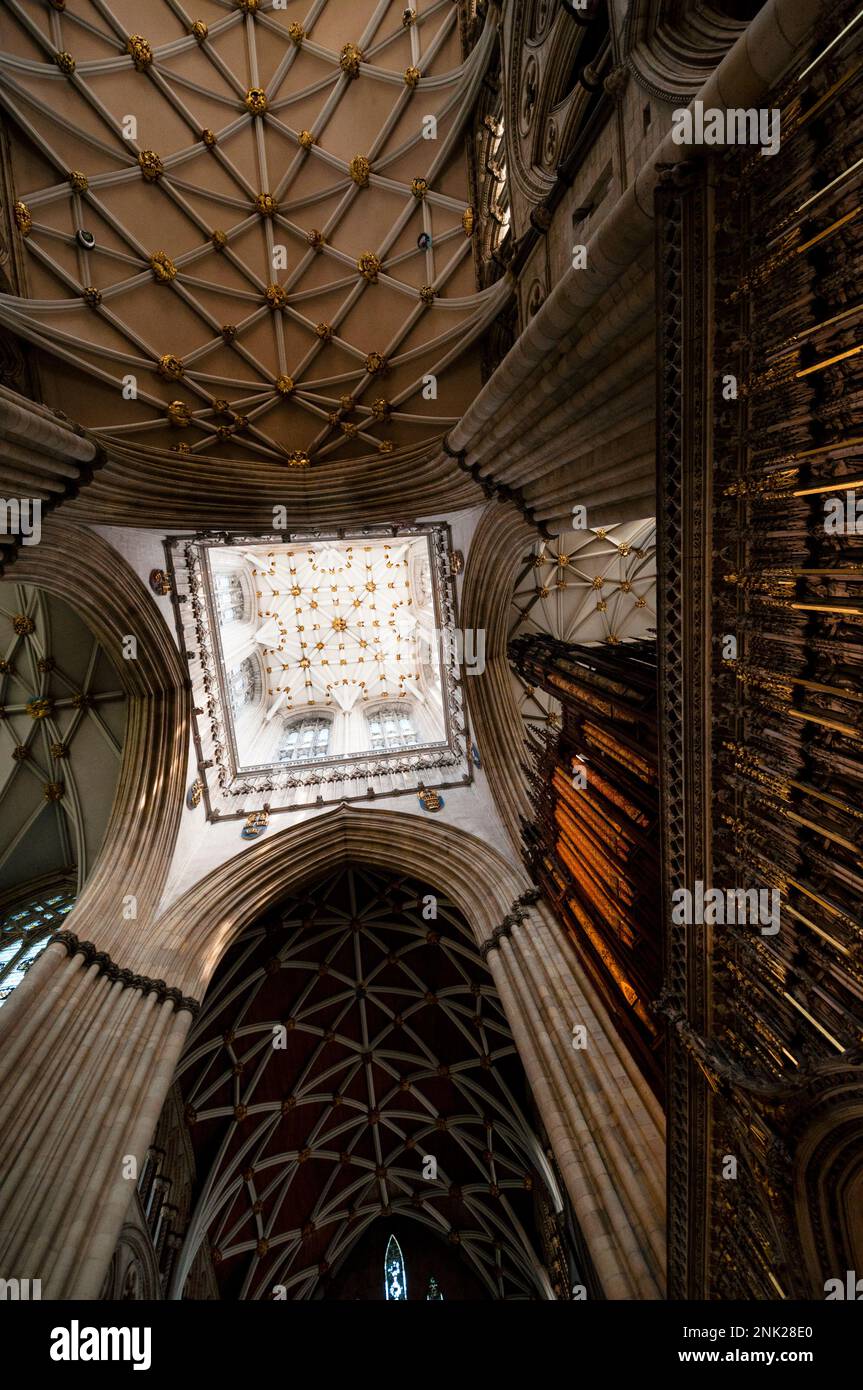 Die Laternen-Turmdecke überquert das senkrecht gelegene gotische York Minster in der mittelalterlichen Stadt York, England. Stockfoto