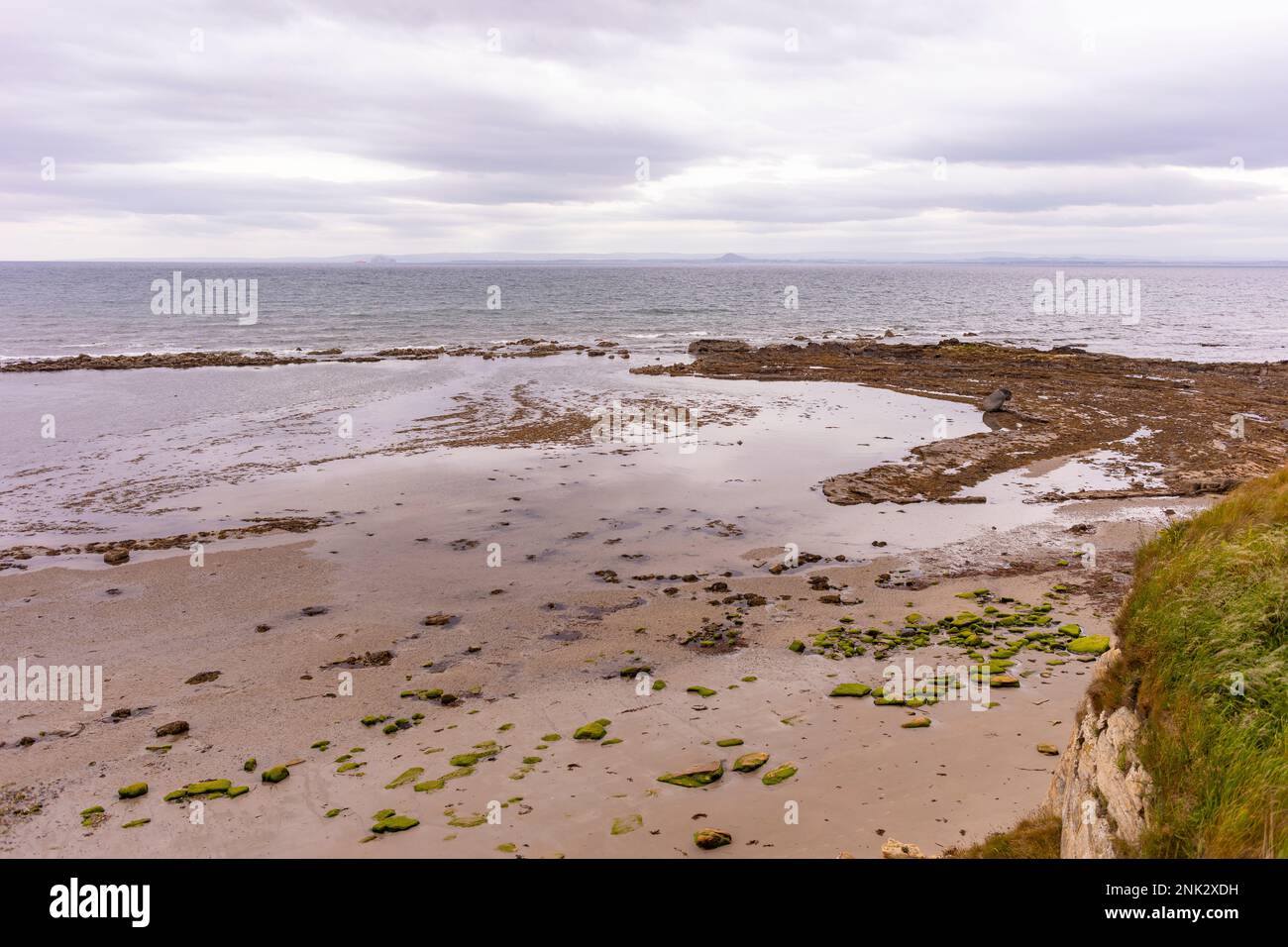 SCHOTTLAND, EUROPA - Strand am Fife Coastal Path, in der Nähe von Pittenweem. Stockfoto