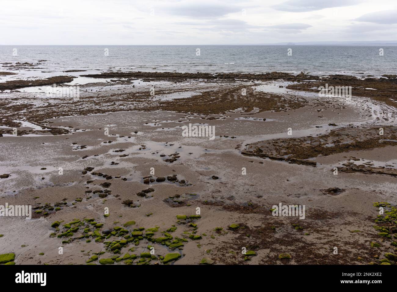 SCHOTTLAND, EUROPA - Strand am Fife Coastal Path, in der Nähe von Pittenweem. Stockfoto