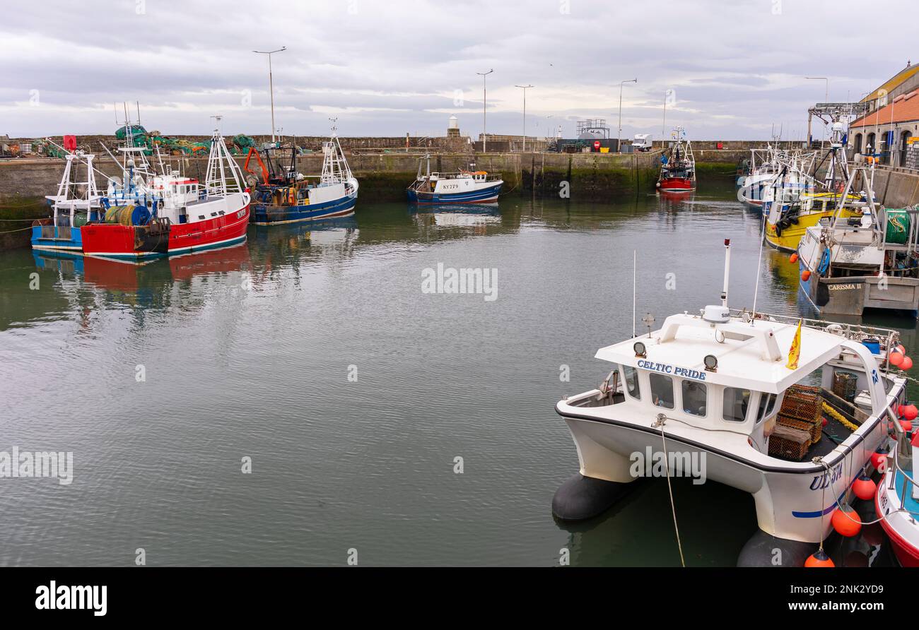 PITTENWEEM Harbour, SCHOTTLAND, EUROPA - Fischerdorf an der Ostküste Schottlands. Stockfoto