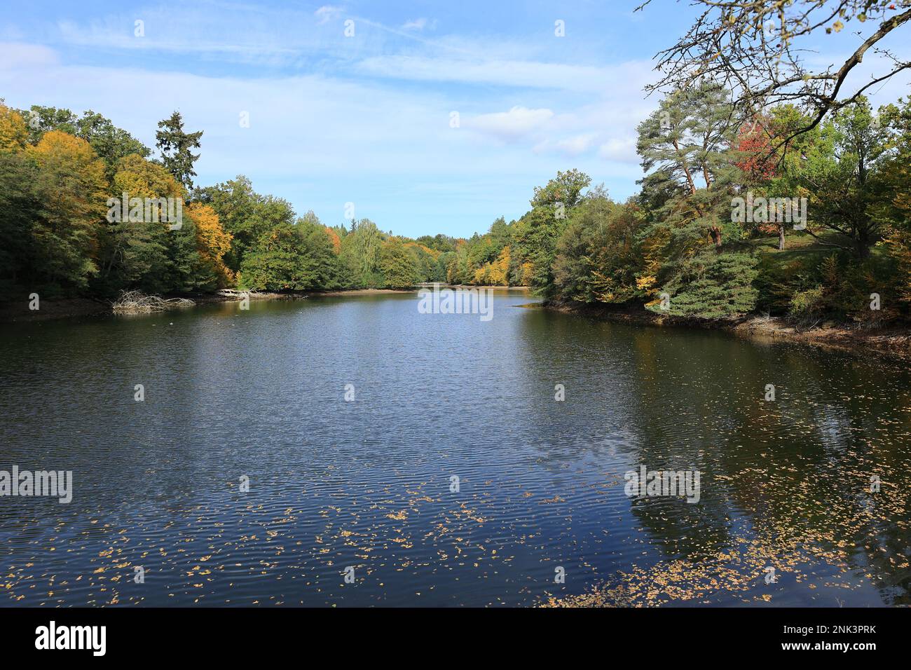 Blick auf den Baerensee bei Stuttgart im Herbst Stockfoto