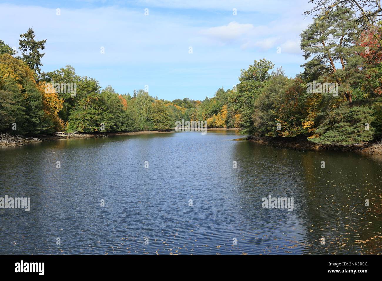 Blick auf den Baerensee bei Stuttgart im Herbst Stockfoto
