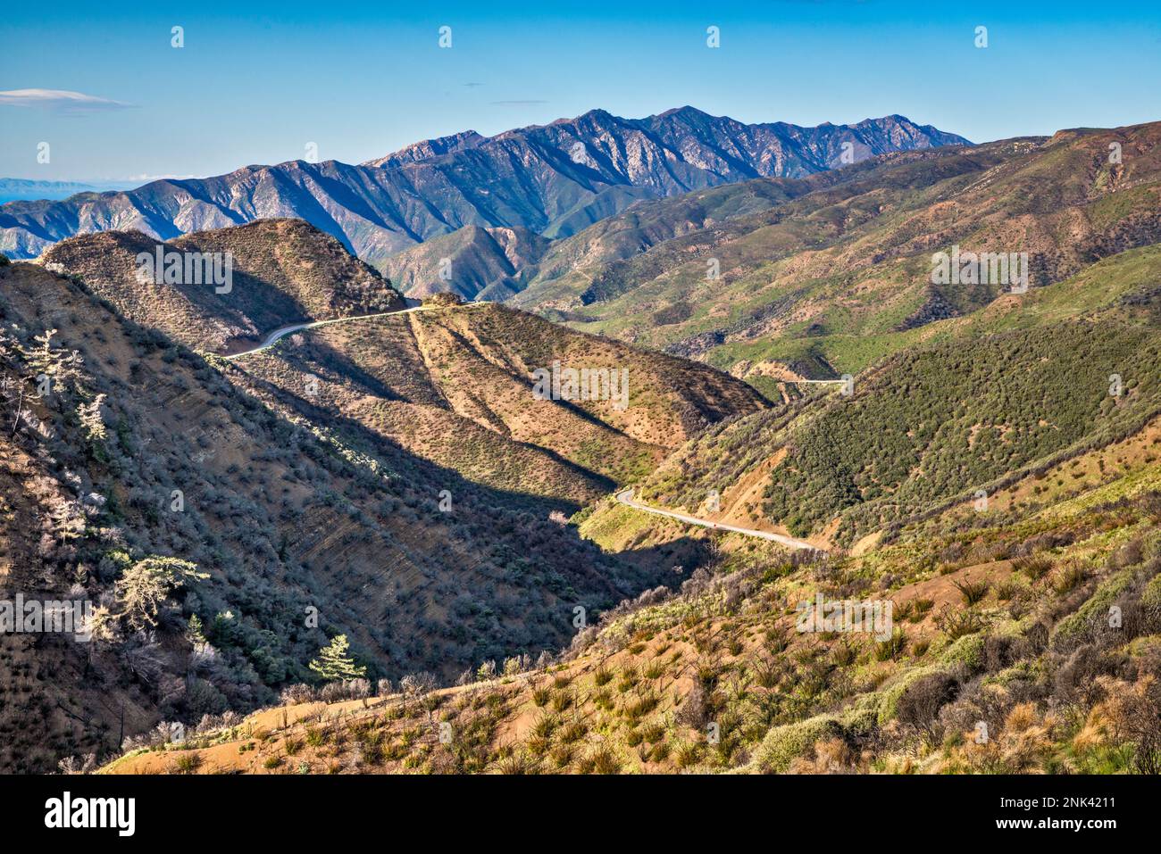 Pine Mountain Massif, Chaparral Zone, Maricopa Highway, Los Padres National Forest, Ventura Ranges, Transverse Ranges, nahe Ojai, Kalifornien, USA Stockfoto