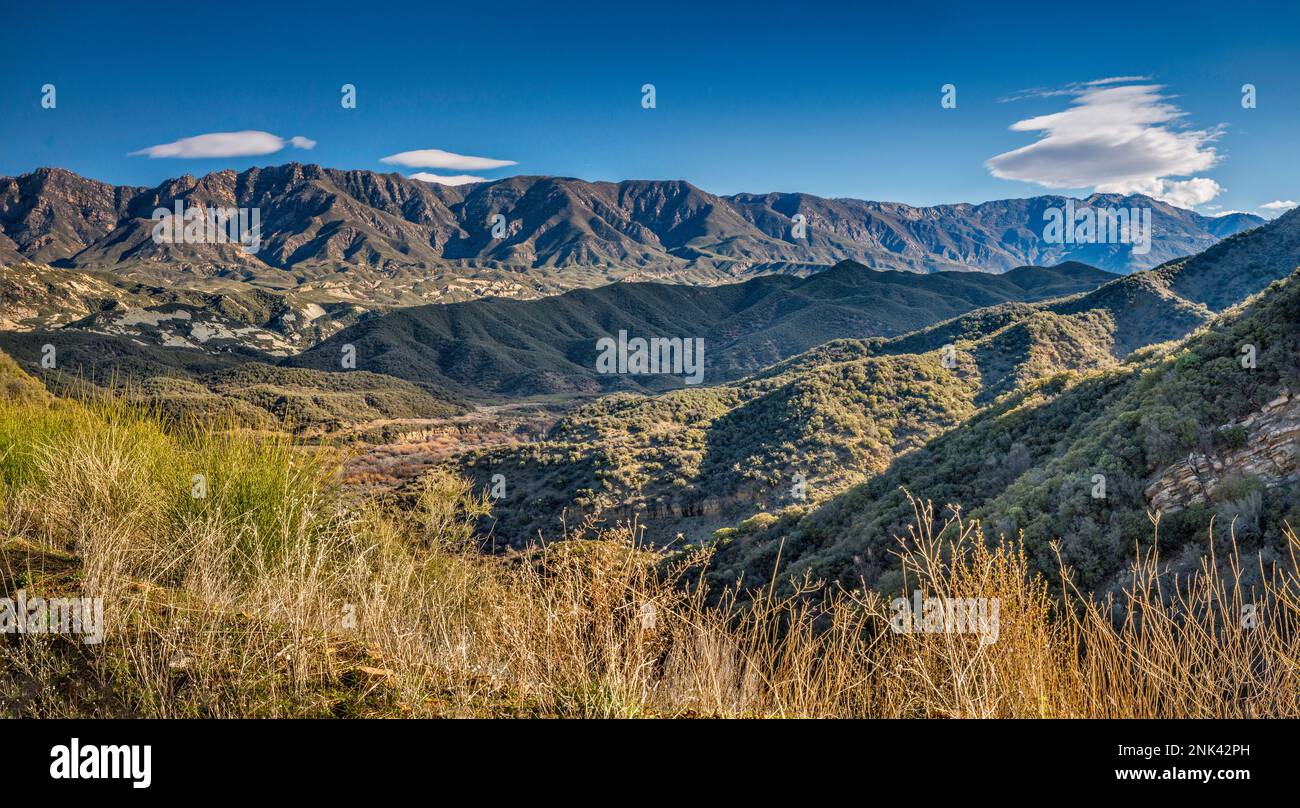 Pine Mountain Massif, Chaparral Zone, Maricopa Highway, Los Padres National Forest, Ventura Ranges, Transverse Ranges, nahe Ojai, Kalifornien, USA Stockfoto