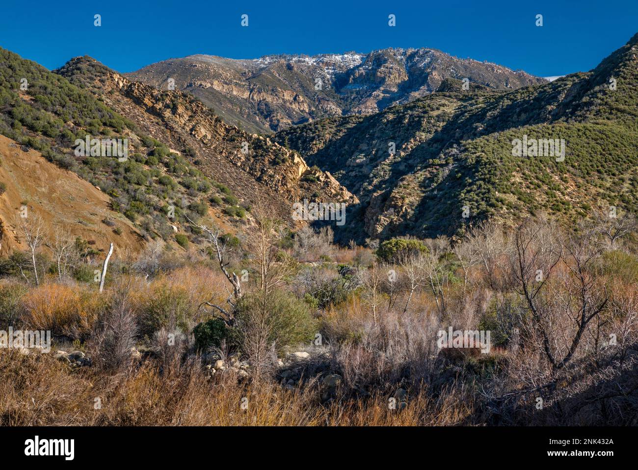 Pine Mountain, Sespe Gorge, Blick vom Maricopa Highway, Los Padres National Forest, Ventura Ranges, Transverse Ranges, in der Nähe von Ojai, Kalifornien, USA Stockfoto
