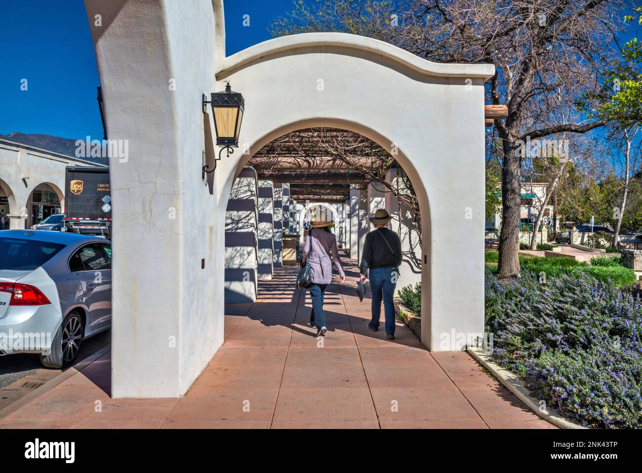 Pergola im Libbey Park, Blattlos im Frühling, Ojai Avenue, Ojai, Kalifornien, USA Stockfoto