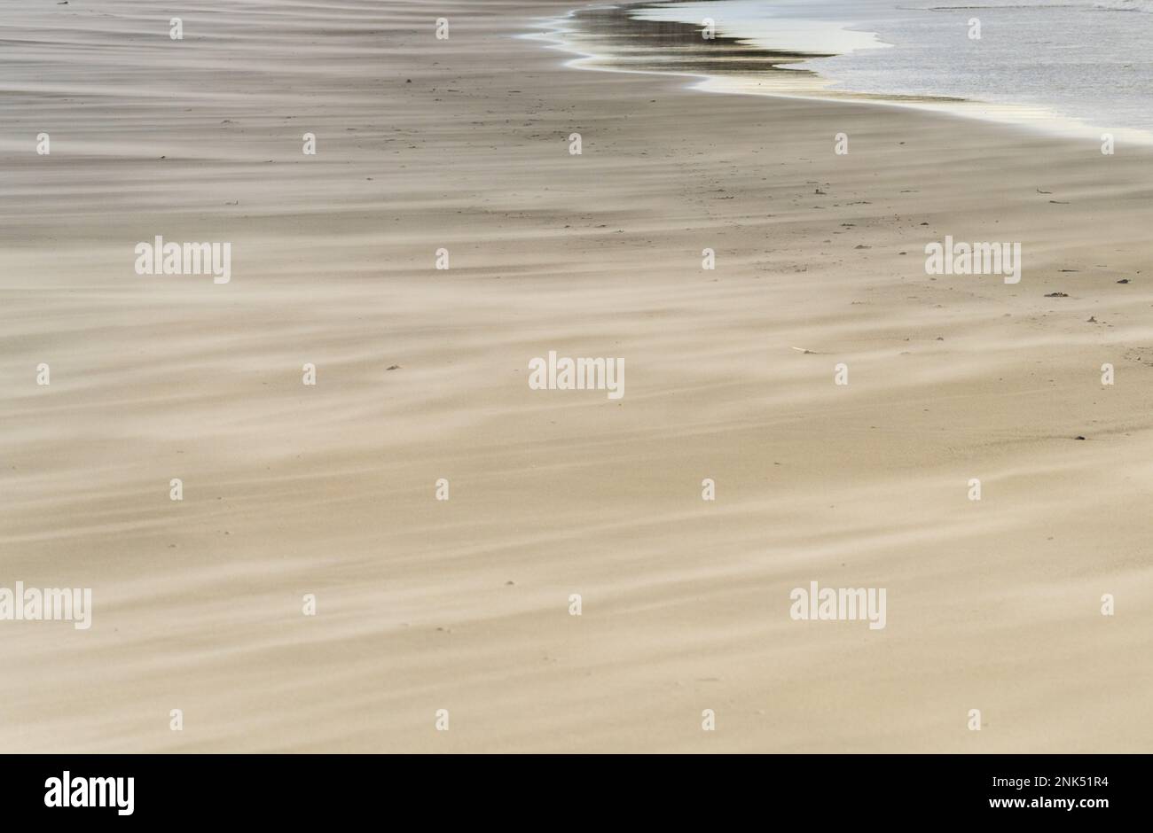 Windgewehene Sandpartikel an einem Sandstrand auf den Falkland-Inseln Stockfoto