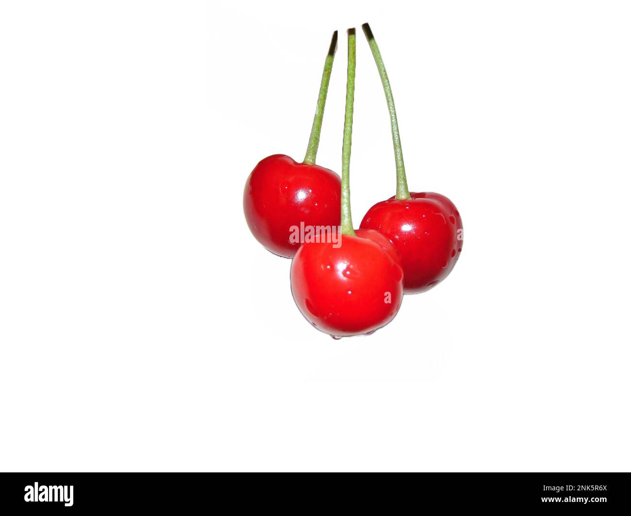 Reifen Kirschen auf weißem Hintergrund Stockfoto