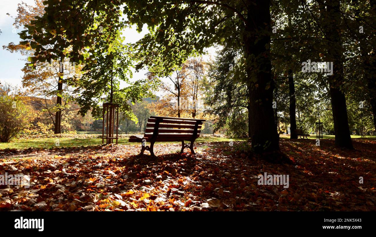 Ruhiger Ort im Park Stockfoto