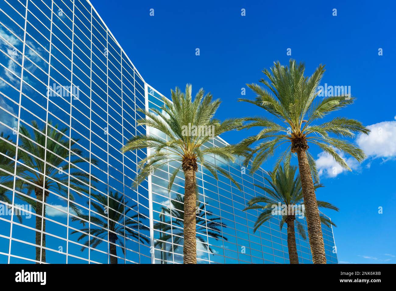 Garden Grove, Kalifornien, USA – 2. November 2022: Palmen spiegeln sich vom Gebäude der Christ Cathedral, früher Crystal Cathedral, in Garden Grove, Califo, wider Stockfoto