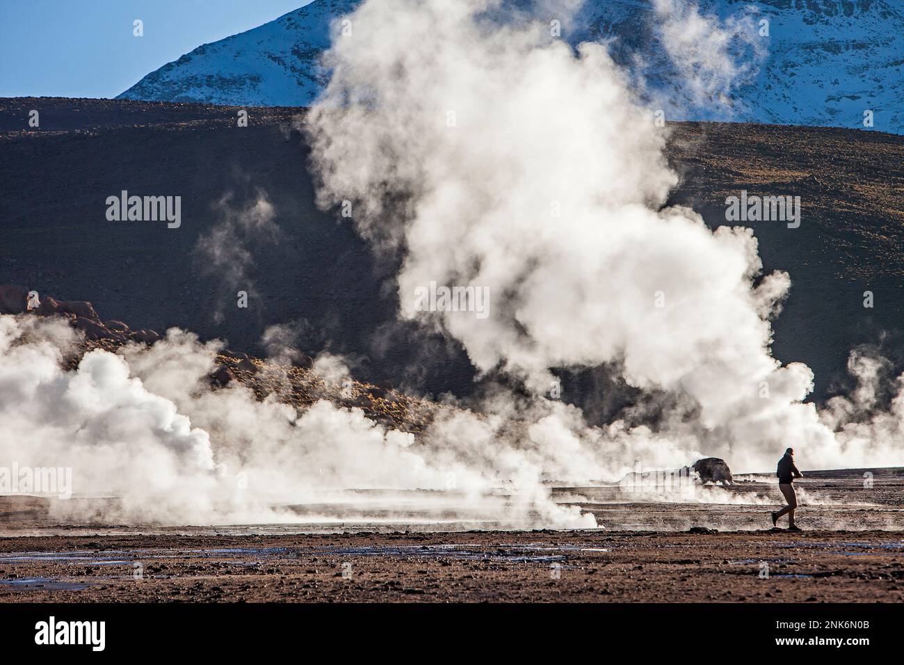 El Tatio Geysire, Atacama-Wüste. Region de Antofagasta. Chile Stockfoto