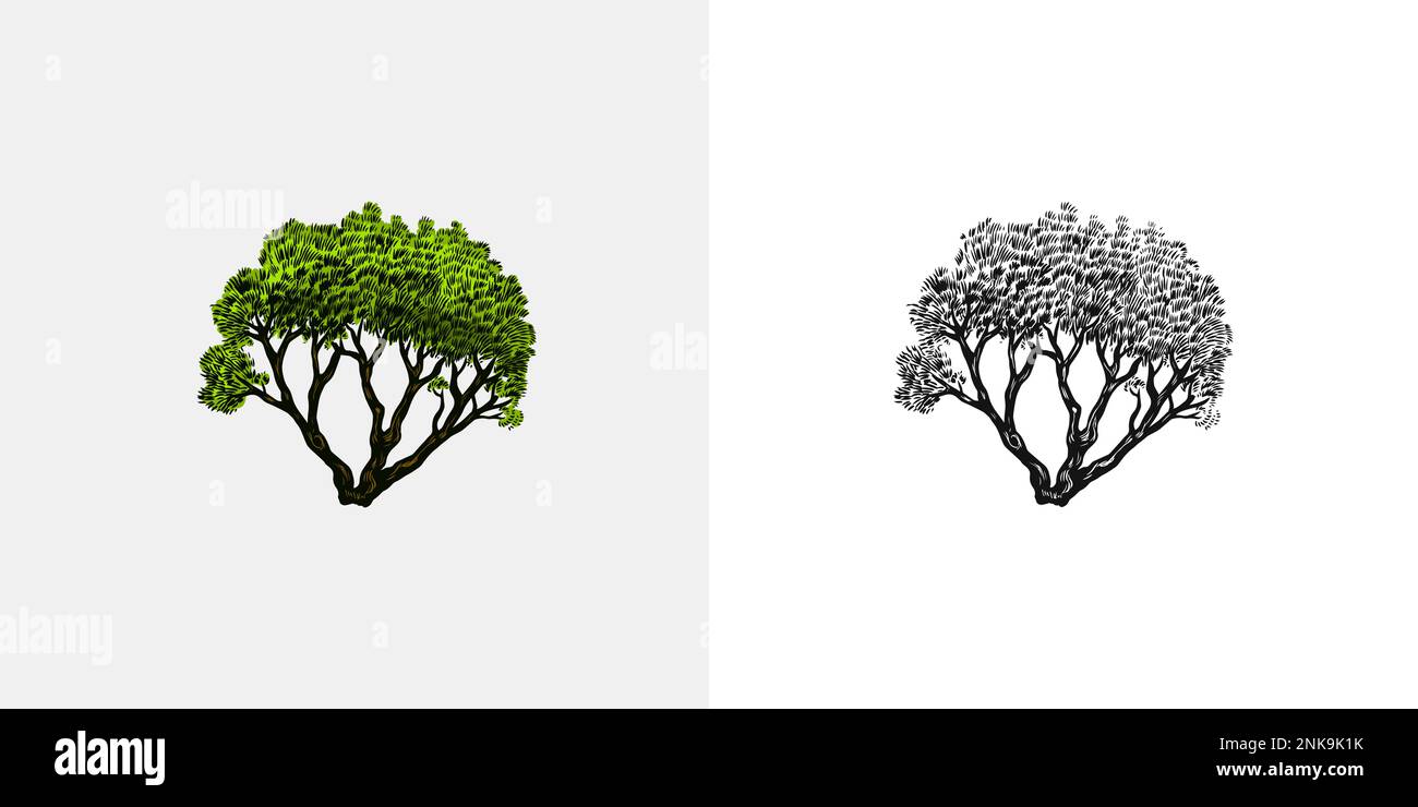 Tropische Bäume exotische Pflanzen. Östliche Landschaft. Exotische Natur. Linearer Dschungel. Handgezeichnete Skizze im Vintage-Stil. Stock Vektor