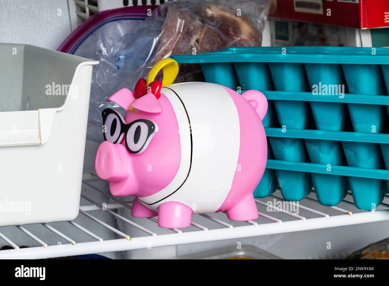 Horizontales Bild eines pinkfarbenen Sparschweins im Gefrierschrank zwischen dem Eiswürfelbereiter und den Eistabletts als Hinweis auf hohe Preise. Stockfoto