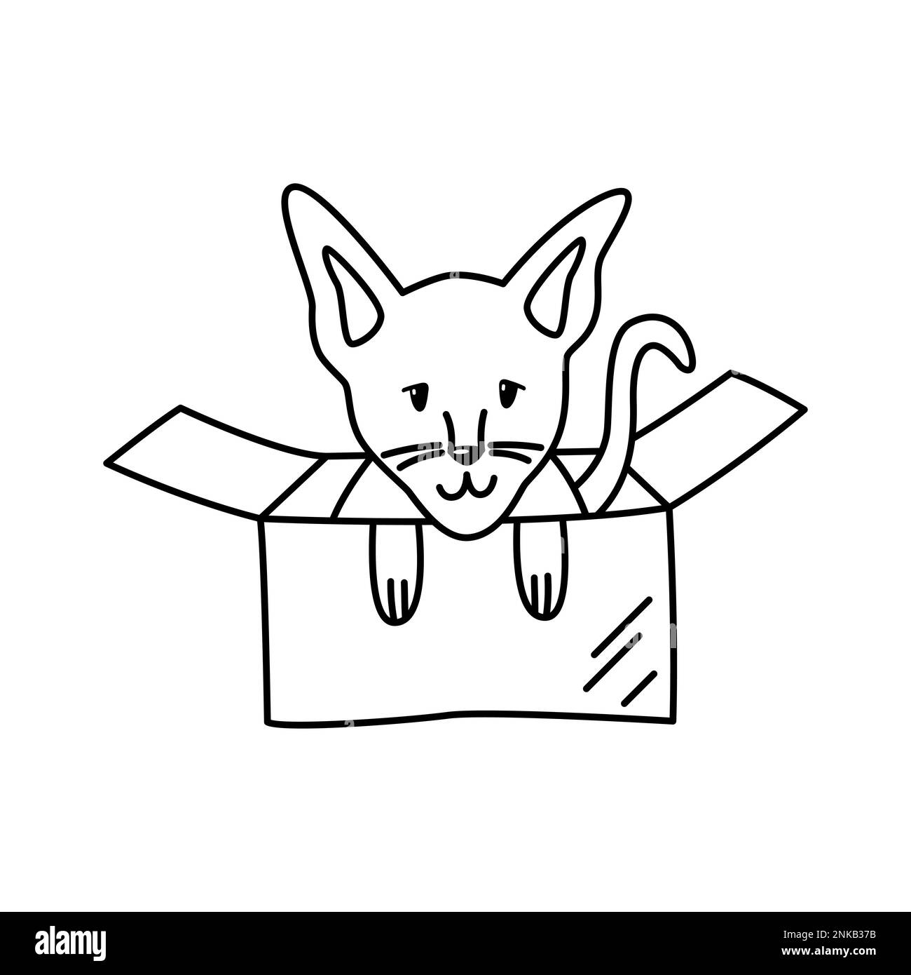 Kleine sphynx-Katze in einer Pappschachtel. Lineare Doodle-Darstellung eines Haustieres. Niedliches Designelement für Tierheime Stock Vektor