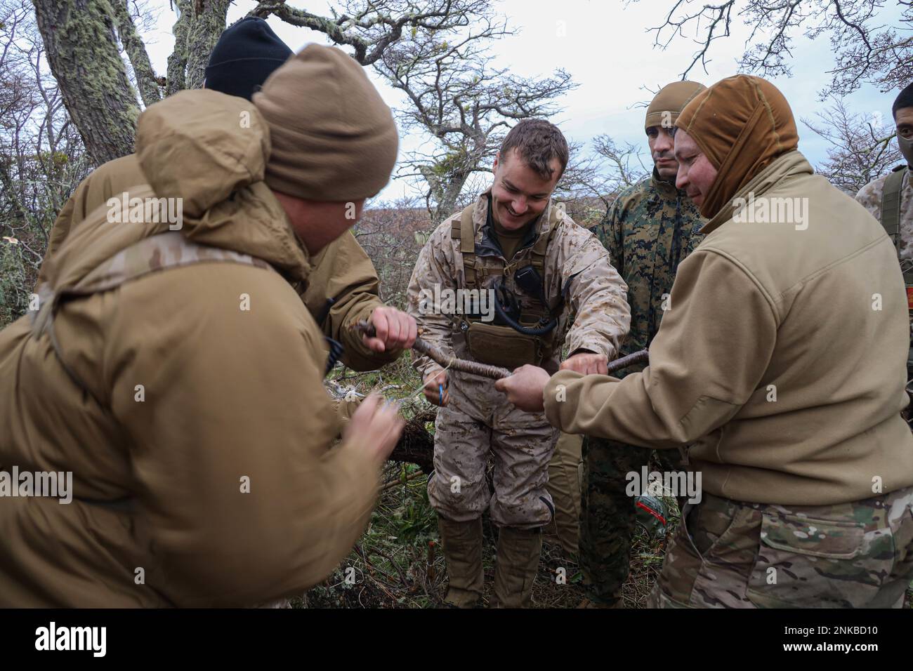 USA Marine Corps Sgt. Brett Stauffenburg (links) und 1. Trevor Tucker (Zentrum) mit 2. Bataillon, 1. Marineregiment, 1. Marine Division, Schnitt einen Zweig mit einer zwei-Mann-Säge zusammen mit einem chilenischen Marine während eines beidseitigen Trainingstrainings zum Überleben bei kaltem Wetter in Punta Arenas, Chile, 9. August 2022. Während dieses Trainings haben die Marines ihre Ausbildung in geeigneten Techniken zur Beschaffung von Nahrung, Wasser und Unterkünften in zahlreichen kalten Wetterumgebungen vorangetrieben. Der Schulungsaustausch in Südamerika bietet außerplanmäßige Schulungen für US-Streitkräfte an, während wir gleichzeitig unsere Partnerschaft stärken und die Inte insgesamt verbessern Stockfoto