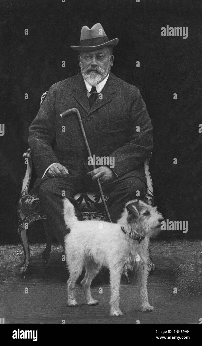 1909 c : der König von England EDWARD VII ( London 1841 - 1910 ) Sohn der Königin Victoria ( Vittoria , 1819 - 1901 ). Auf diesem Foto mit seinem geliebten Hund CÄSAR. Foto von Pottle , Wimborne - REALI - ROYAL - nobili - nobiltà - Adelsgeschenk - Hut - cappello - Cravatta - Krawatte - Kragen - colletto - Withe Bard - barba bianca - INGHILTERRA - GRAND BRETAGNA - BELLE EPOQUE - Bastone da passeggio - Cane - personalità celebrità con animali domestici animale cani - Terrier - Berühmtheiten Persönlichkeiten mit Hunden Tiere Haustiere - RE EDOARDO --- Archivio GBB Stockfoto