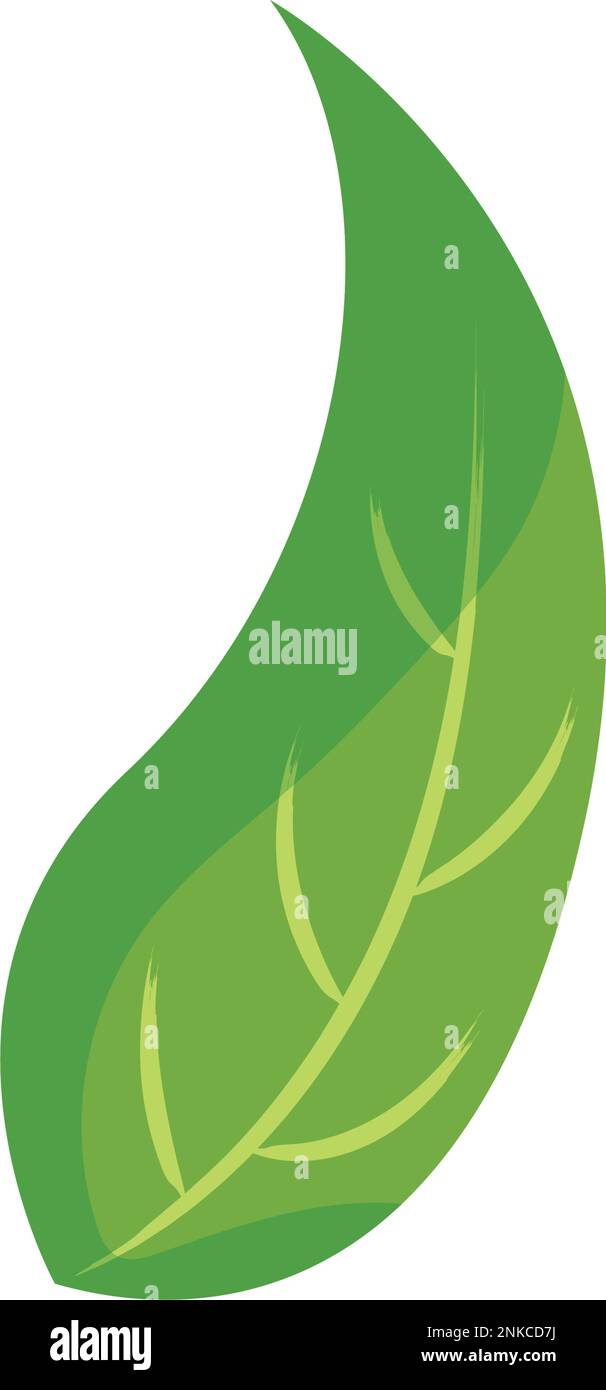 Isolierter grüner Leaf-Symbol-Vektor Stock Vektor
