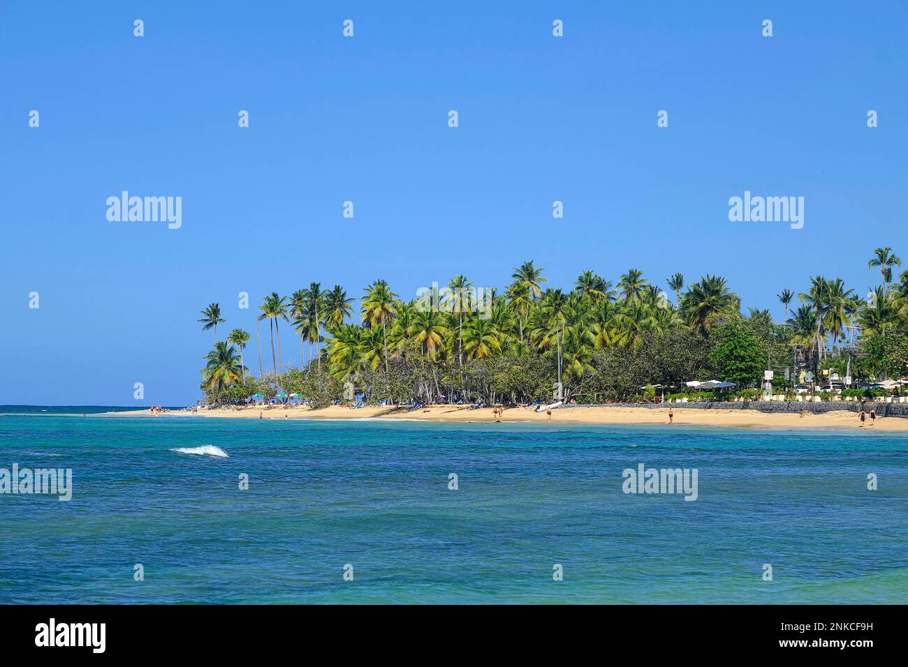 Palmen an der Playa Las Terrenas Samana, Las Terrenas, Dominikanische Republik, Karibik, Mittelamerika Stockfoto